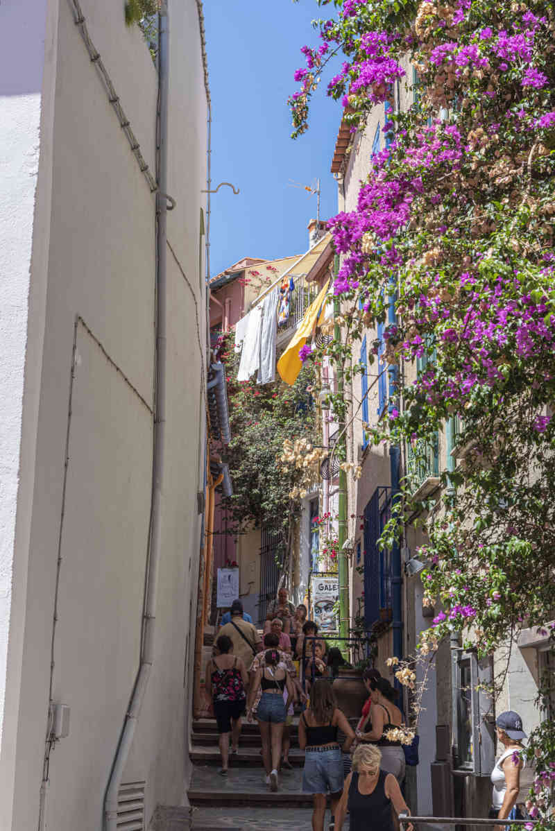 Francia - Collioure 049.jpg